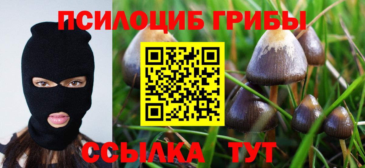 Лабытнанги  Галлюциногенные грибы ЛСД  Вход с VPN 